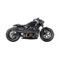 Preview: Zard, Sportster S vorderes Schutzblech aus Carbon