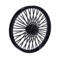 Preview: MCS radial 48 fat spoke front wheel 2.15 x 21 SF black