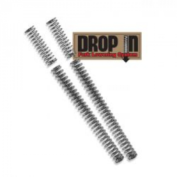 PS Drop-in fork lowering kit, 49mm tubes