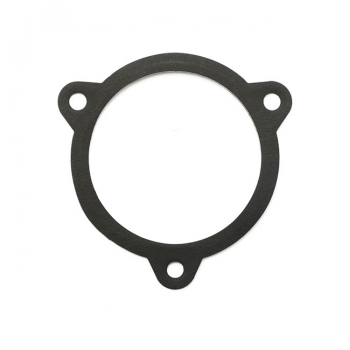 James, throttle body/filter to air cleaner housing gasket