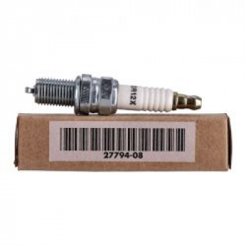 OEM spark plug 10R12X