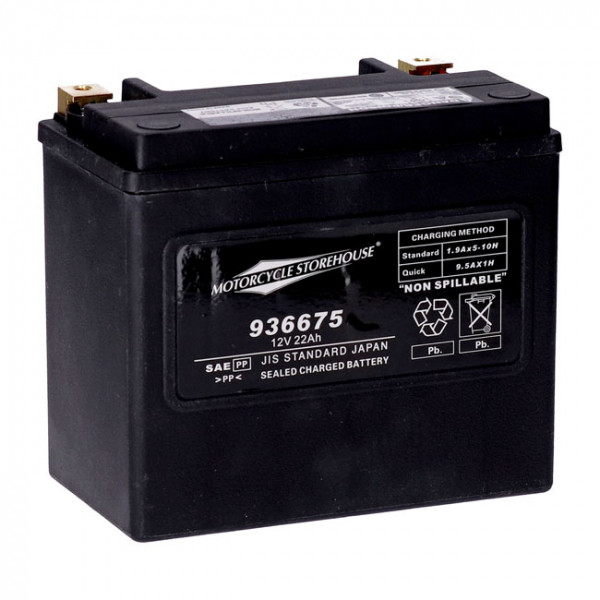 MCS, Standard Serie - AGM-Batterie abgedichtet. 12V, 22Ah. 325CCA