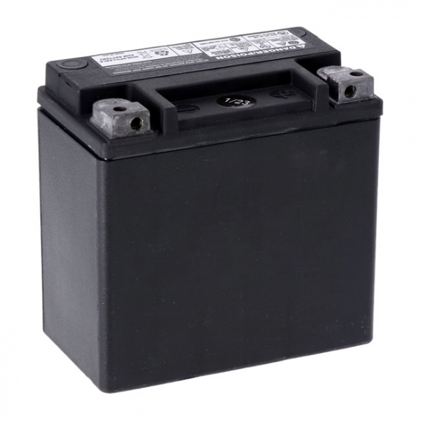 MCS, Advance Series - AGM sealed battery. 12V, 12Ah, 220CCA