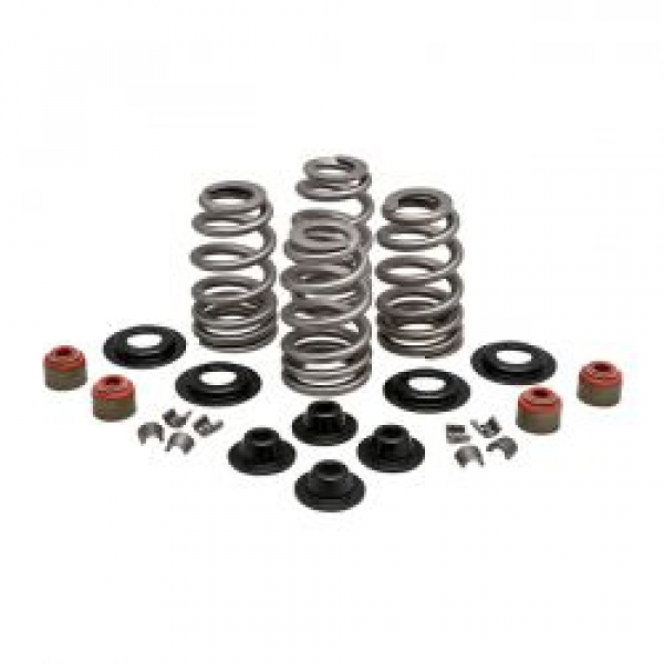 KPMI, Beehive valve spring kit. Steel. .610" lift