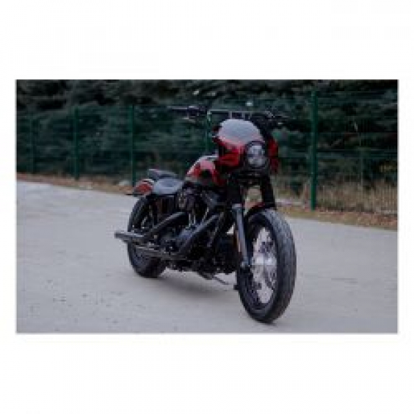 Killer Custom, Dyna Verkleidungssatz