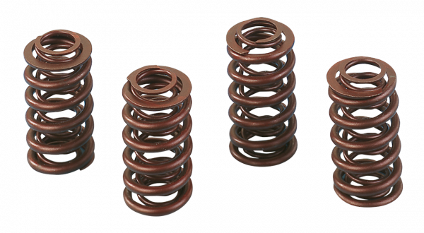 ANDREWS VALVE SPRING SETS